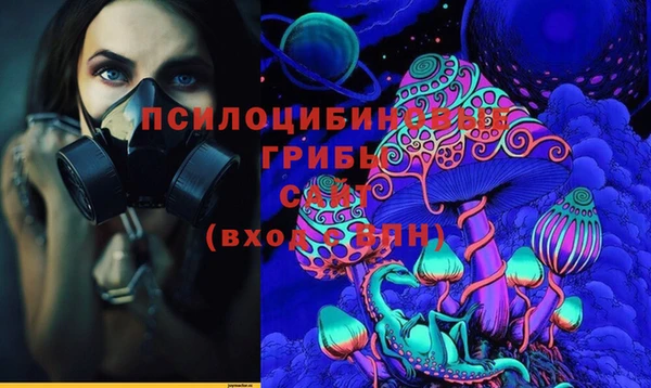 прущая мука Коряжма