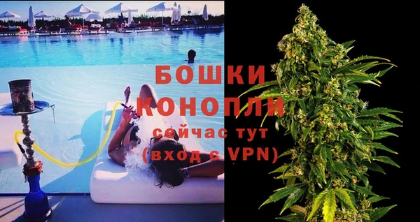 дмт Костерёво