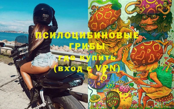 а пвп мука Корсаков