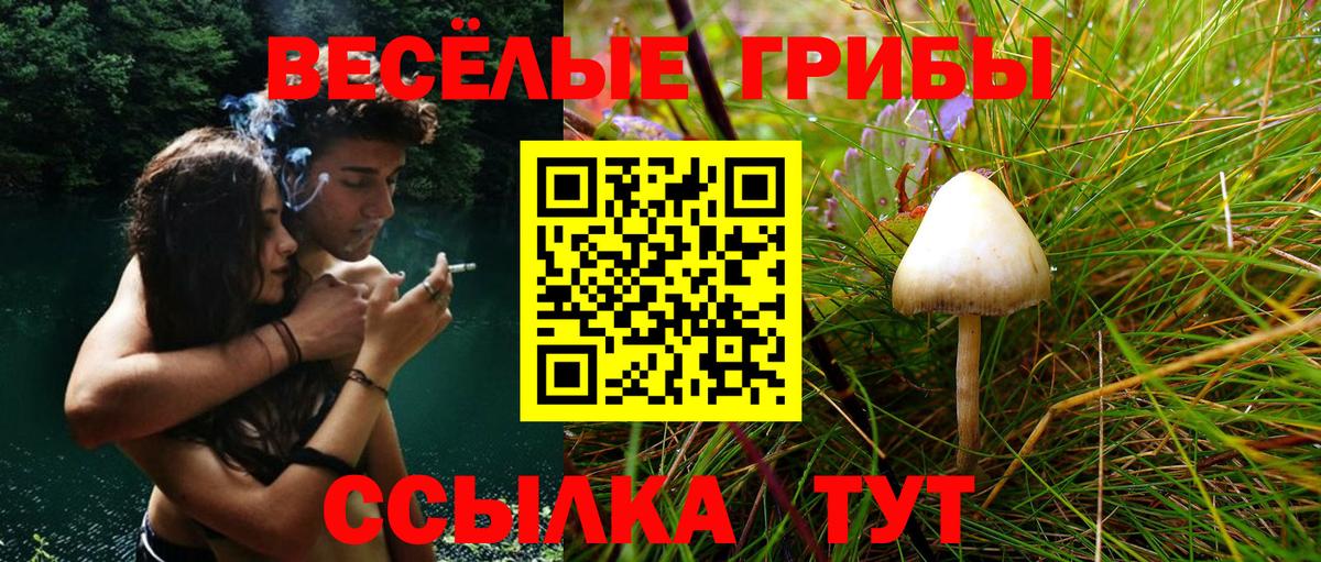 Галлюциногенные грибы Cubensis  Галлюциногенные грибы прущие грибы  Фурманов  Вход с VPN 