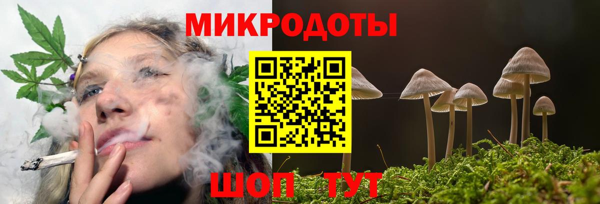 Галлюциногенные грибы Psilocybine cubensis Фурманов